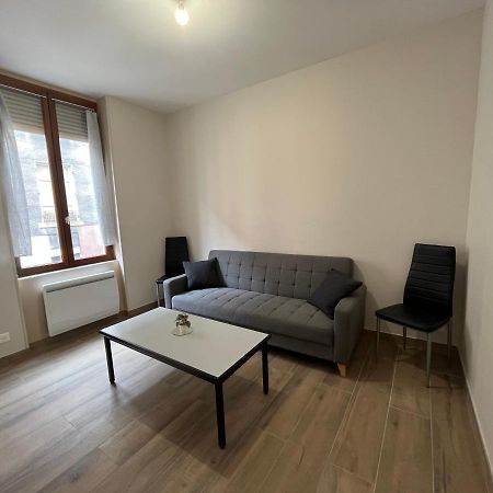 Appartement Renove A 15 Min De Lyon Saint-Fons Ngoại thất bức ảnh