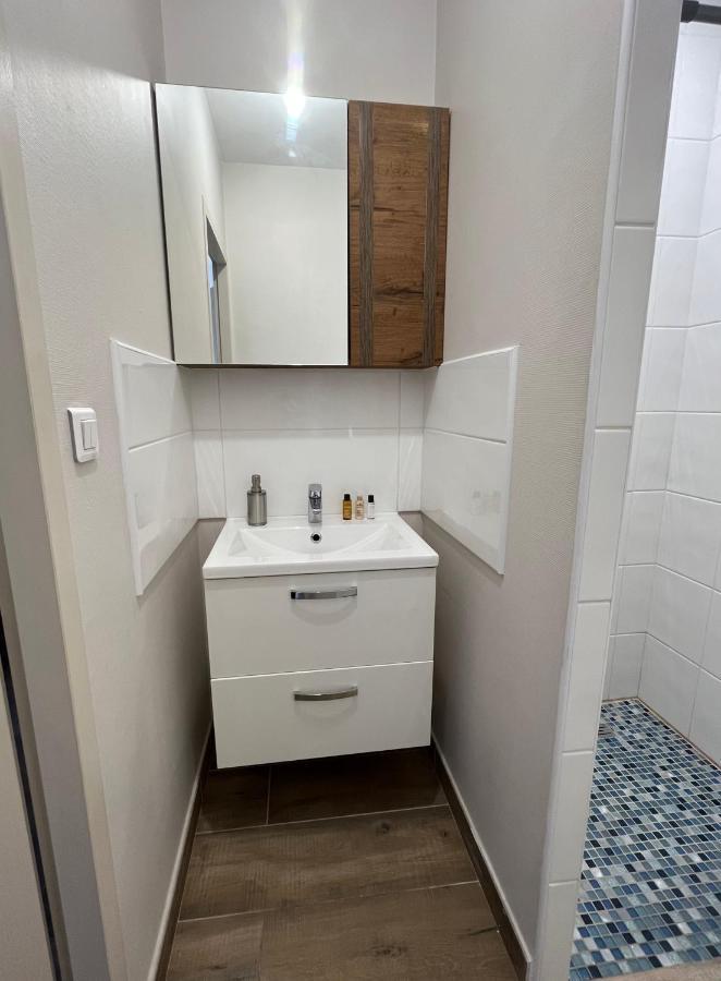 Appartement Renove A 15 Min De Lyon Saint-Fons Ngoại thất bức ảnh